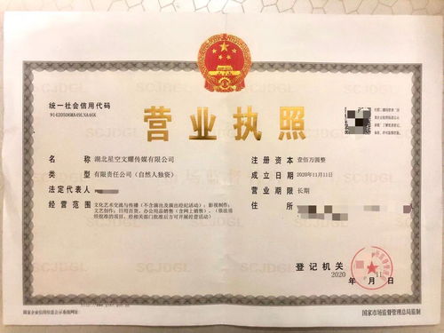 星空文耀 專業(yè)工商注冊實體工作室，高價收購飛盧太監(jiān)書及財務咨詢